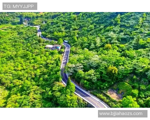 生态文明建设中的绿色发展路径探索与实践创新